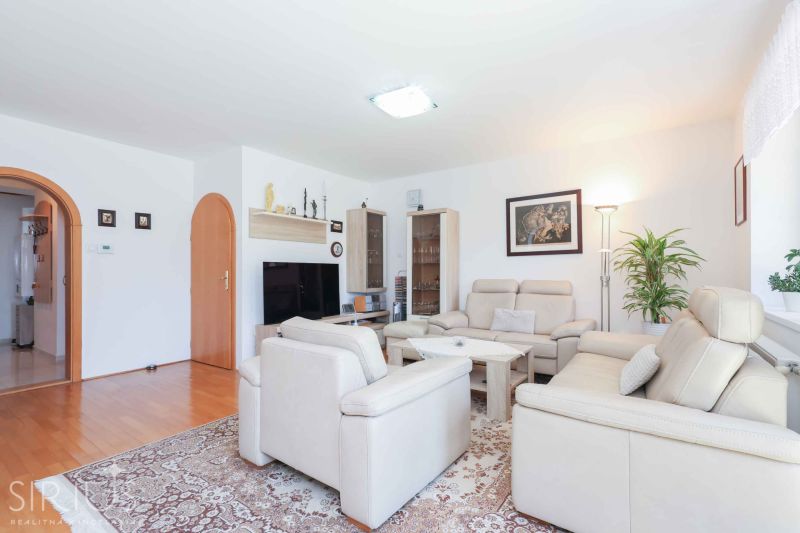 Living room in a family house with comfortable sofas, decorative plants, and a wooden-patterned floor.