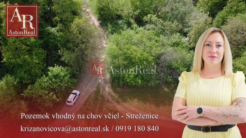 A woman stands in front of recreational land in Streženice, ideal for beekeeping.
