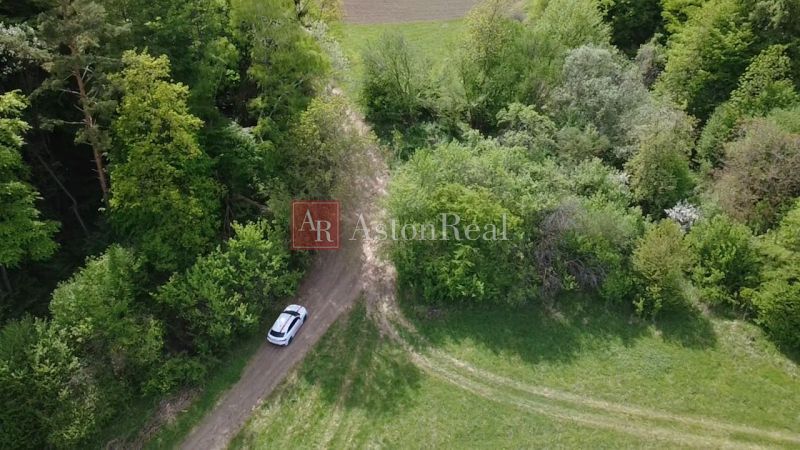 Meadow road surrounded by trees on recreational plots in Streženice, Streženice.