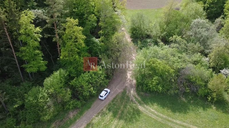 A car on a forest road amidst green vegetation in the Recreational Grounds in Streženice.