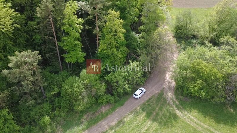 A meadow with a vehicle in front of the forest on recreational land in Streženice, Streženice.