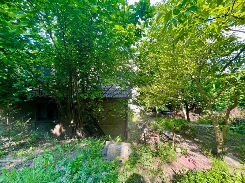 Garden and plants surrounding the family house.