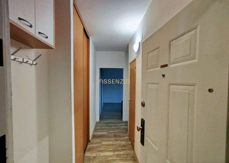 A hallway with a wooden decor floor in a 1-room apartment with white doors and cabinets.