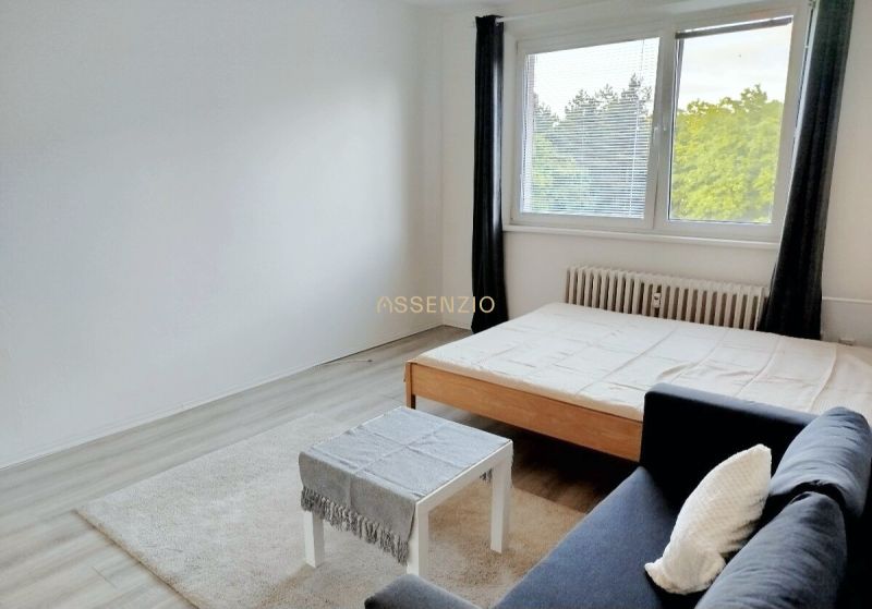 Interior of a 1-room apartment with a sofa, table, and bed.