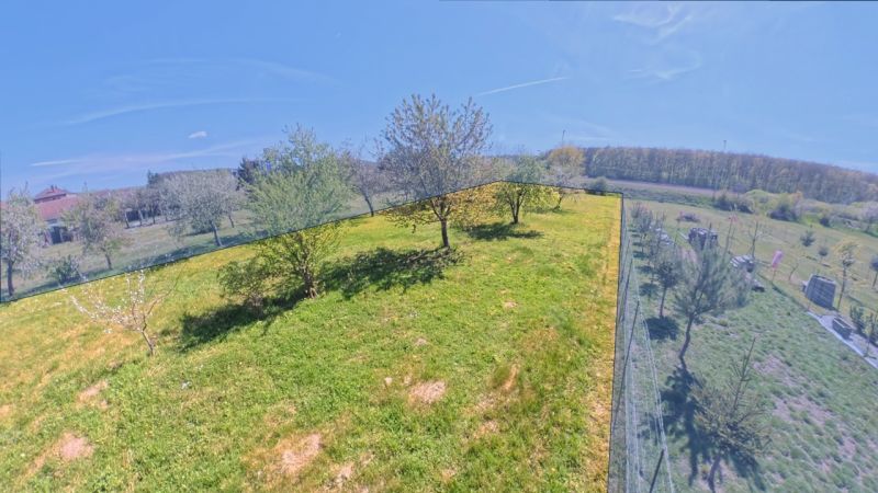 A garden with fruit trees by a family house in Svinia under a blue sky.