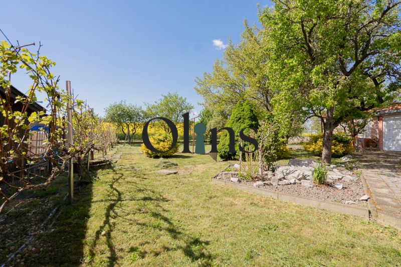 The garden at the family house on B. Tablica Street, Dudince, full of green trees and shrubs.
