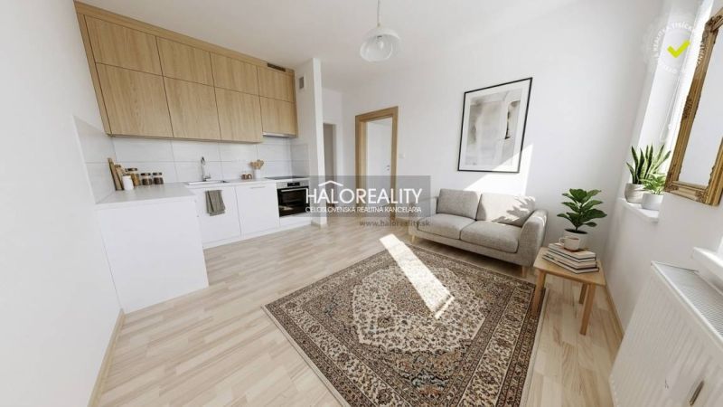 Living room with a kitchenette in a studio apartment, floor with wood decor.
