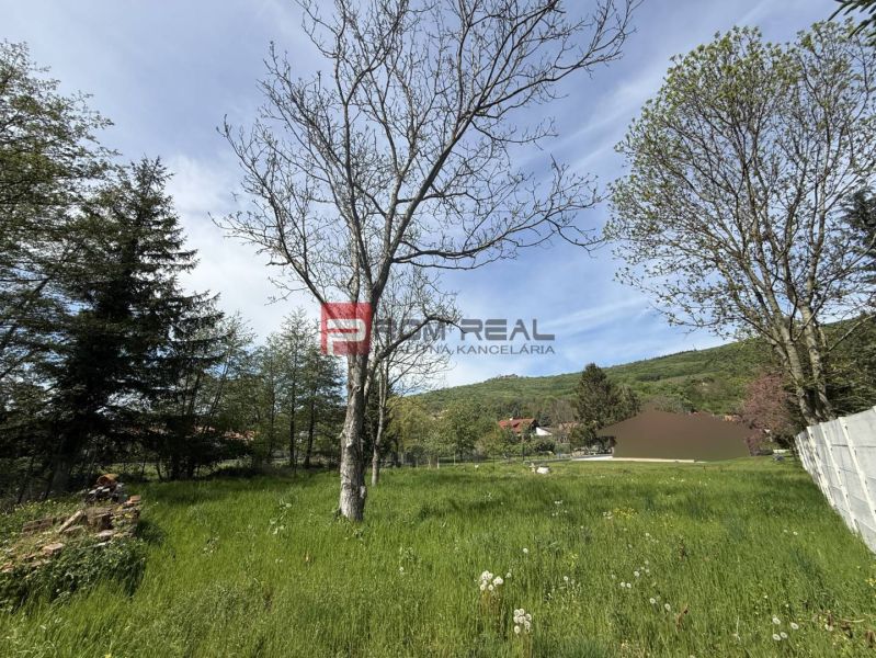Residential plots in Borinka offer a beautiful natural environment with plenty of greenery.