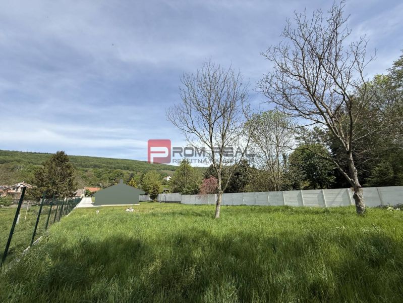 Greenery and trees on residential plots in the village of Borinka with a view of nature.