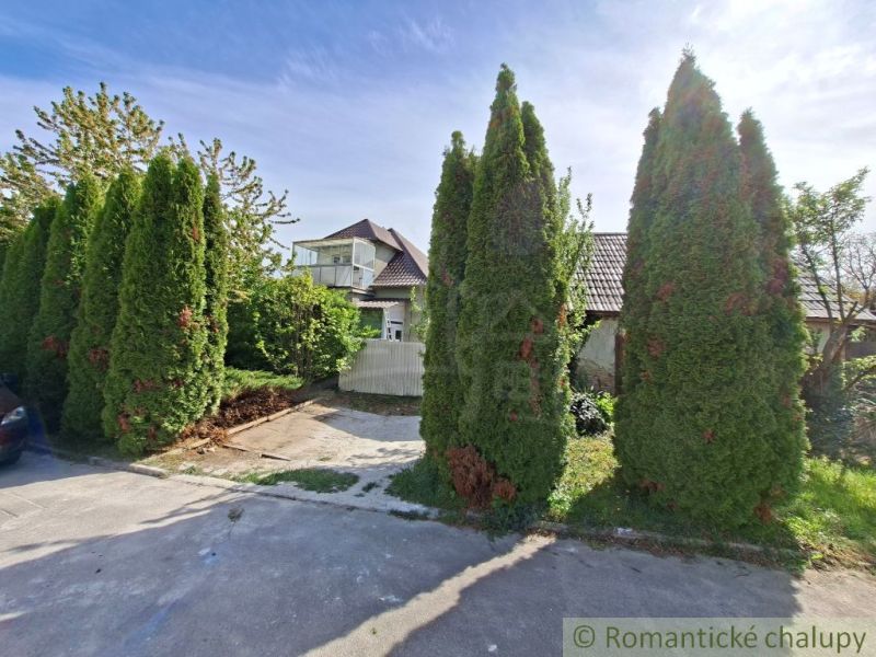 A family house in Orešany surrounded by tall thuja trees and a paved driveway.