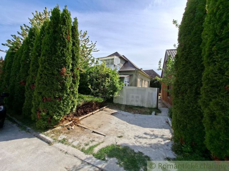 A family house in Orešany surrounded by thuja trees, with a driveway and a wooden fence.