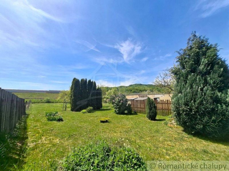 The garden of a family house in Mýtna with a lawn, trees, and shrubs.