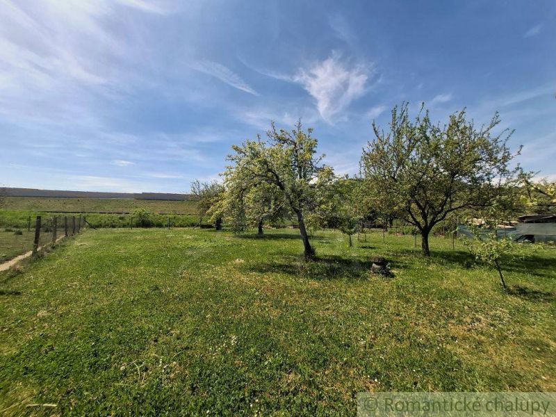 A spacious garden with fruit trees by the family house in Mýtna.