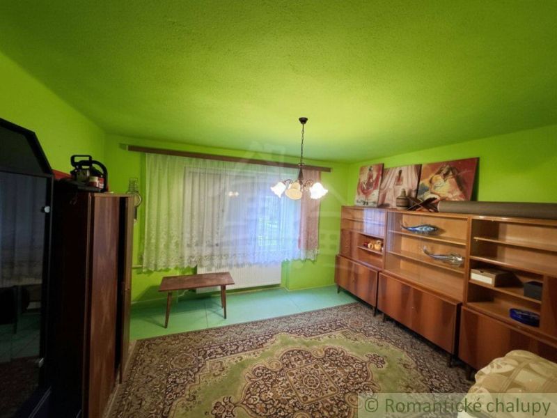 A room in a family house with striking green walls, furniture, and carpet.