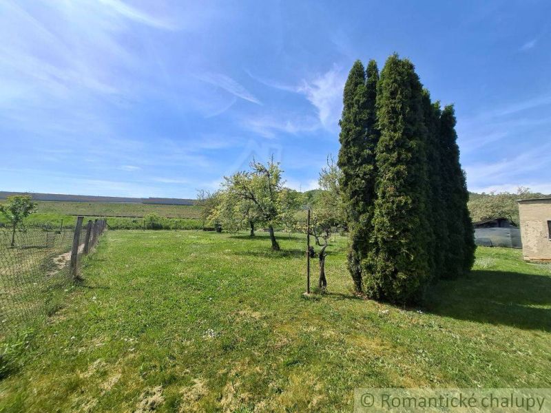 The garden of a family house in Mýtna with a lawn, trees, and a hedge.