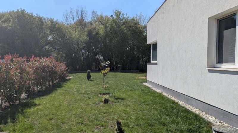 PXL_20260411_121623982.jpg