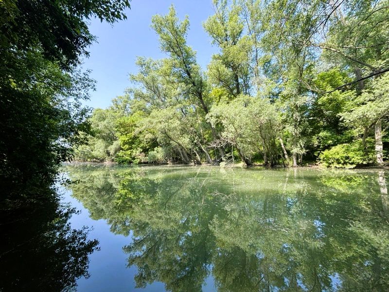A river surrounded by greenery in Gabčíkovo, reflection of trees on the water surface.