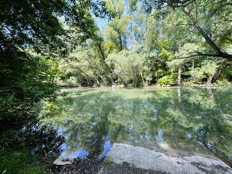 A river surrounded by greenery near Gabčíkovo, an ideal place for relaxation close to the cottage.