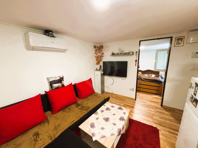 Living room with a sofa, red cushions, TV, and wood-patterned flooring.