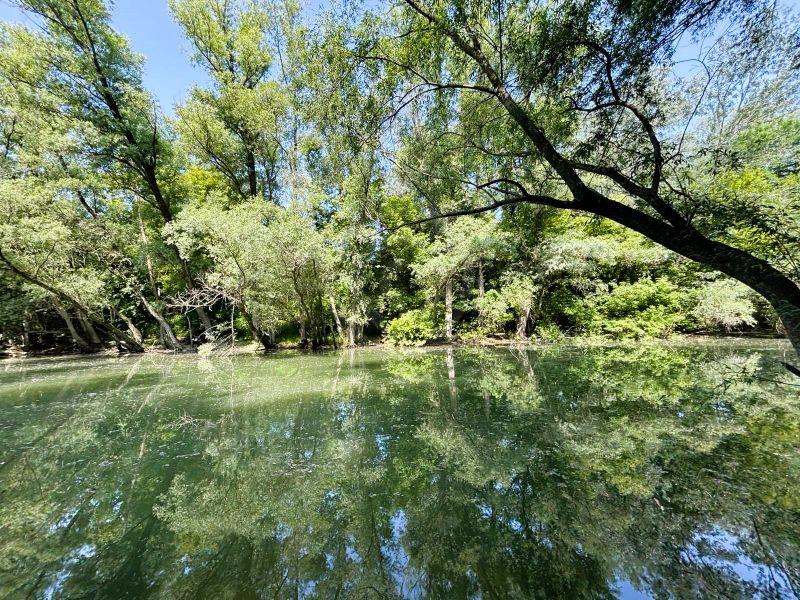 A peaceful body of water with trees reflecting on the surface near a cottage in Gabčíkovo.