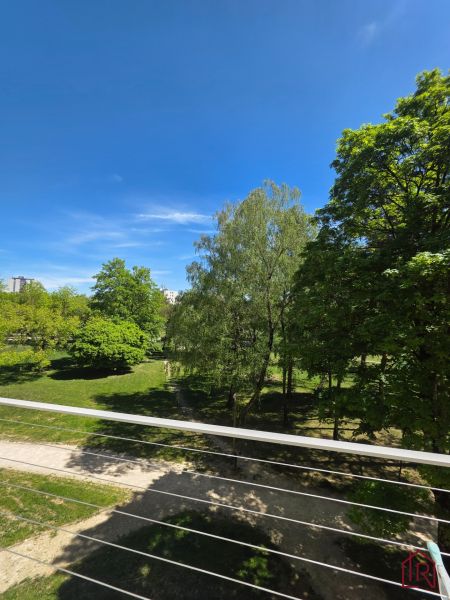 A view of a park surrounded by trees from a 3-room apartment on Lesnícka Street in Košice.