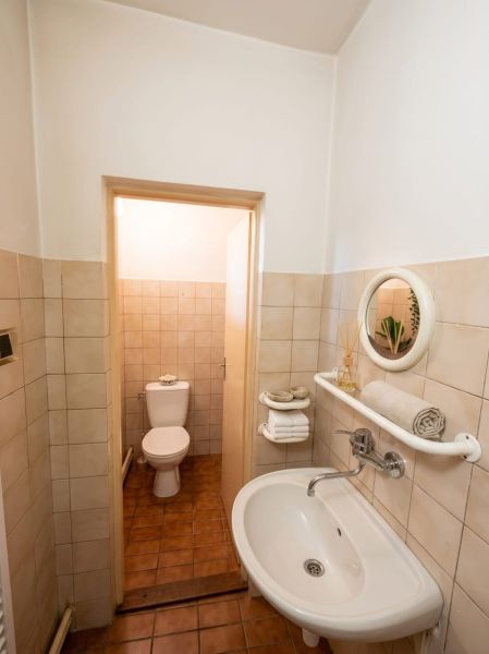A bathroom in a family house with a sink, mirror, and toilet, tiles with a brown decor.