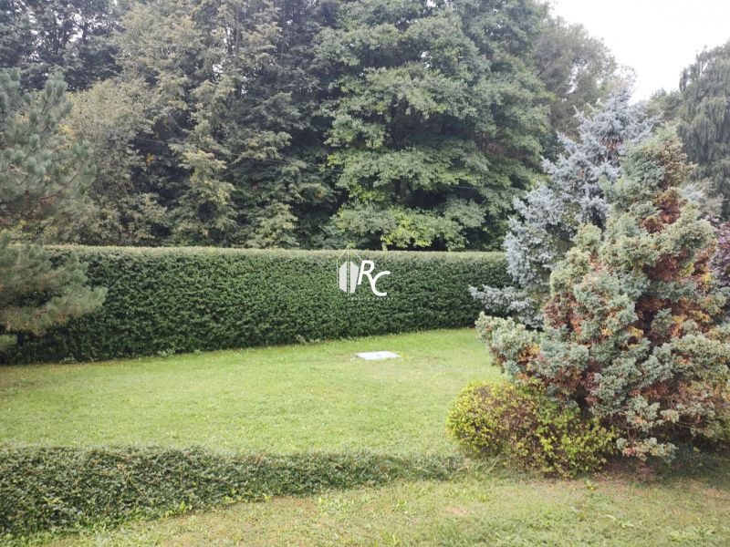 A garden at a family house in Trebostovo with a hedge and lawn.