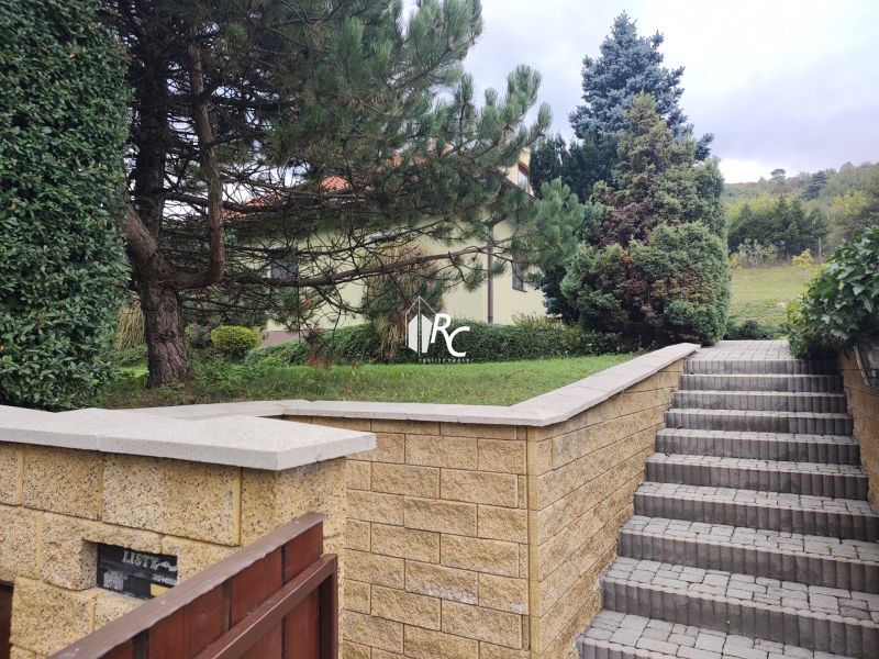The access path to the family house in Trebostovo, lined with greenery and trees.