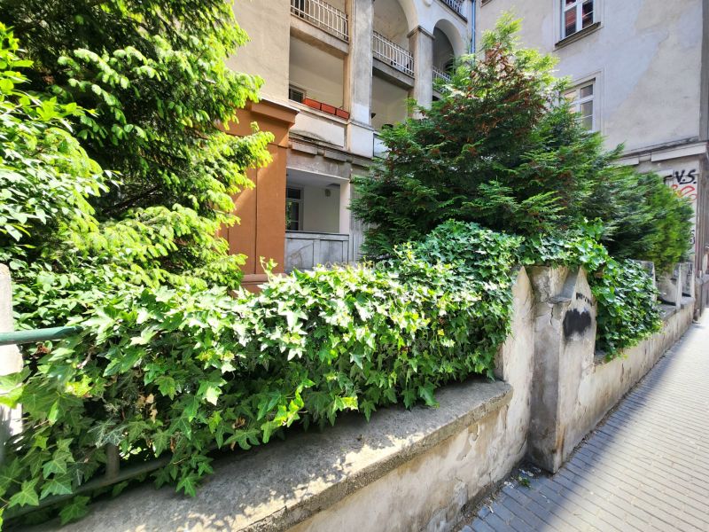 Garden with climbing plants and trees at Jakubovo Square in Bratislava, Old Town.
