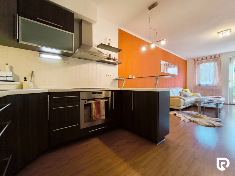 Kitchen and living room in a 2-room apartment with a wooden decor floor, orange wall.