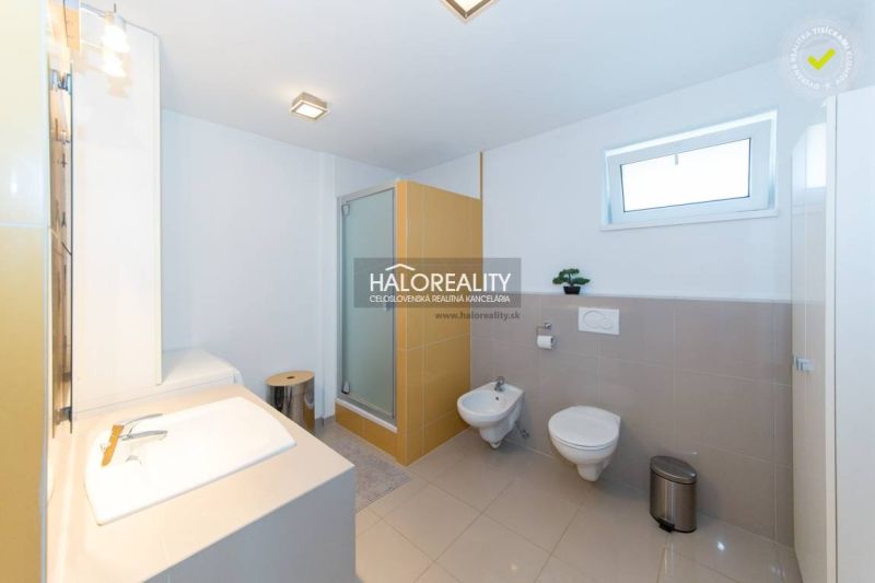 Bathroom in a family house with a shower, sink, and toilet.