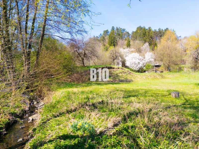 Greenery and stream on residential plots on Obrancov Mieru Street in Banská Štiavnica.