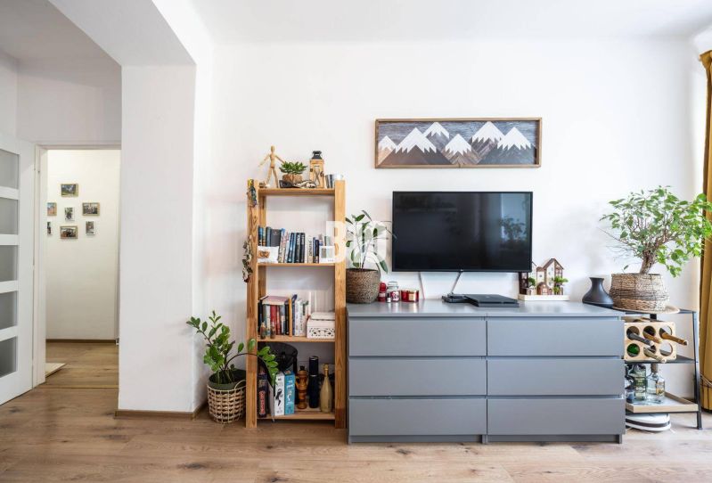 The living room in a two-room apartment contains a dresser, a bookshelf with books, and plants.