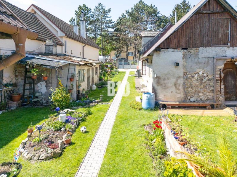 Garden with flower planting in the area of Plots - housing on Jadranská Street, Bratislava IV.