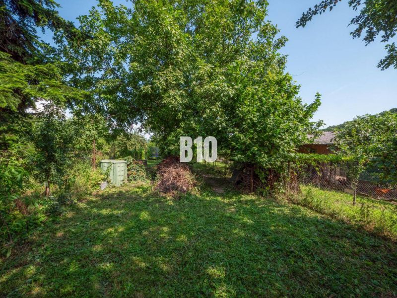 Greenery on a residential plot in Bratislava IV, Jadranská, surrounded by trees and shrubs.