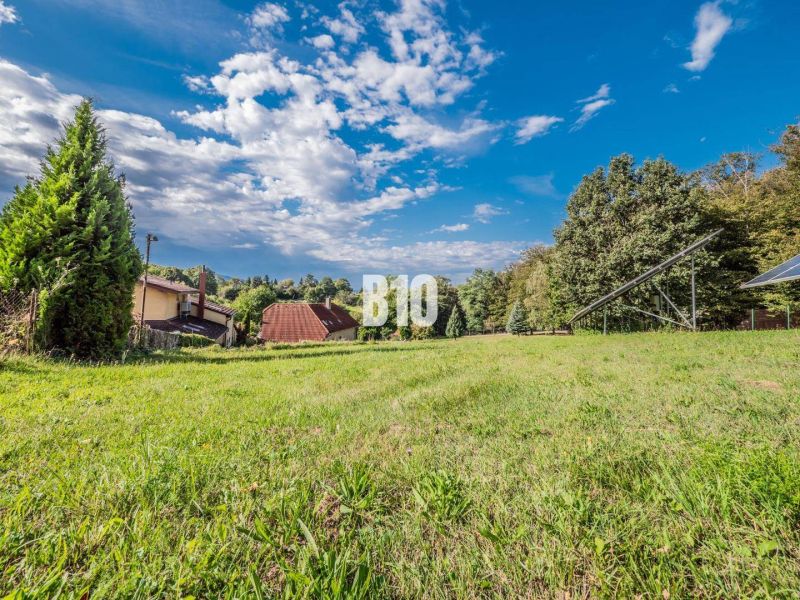 A family house in Marianka surrounded by greenery, with a lawn and trimmed trees.