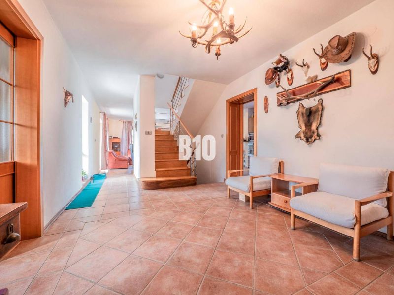 A hallway in a family house with a wooden staircase, furniture, and hunting trophies on the wall.