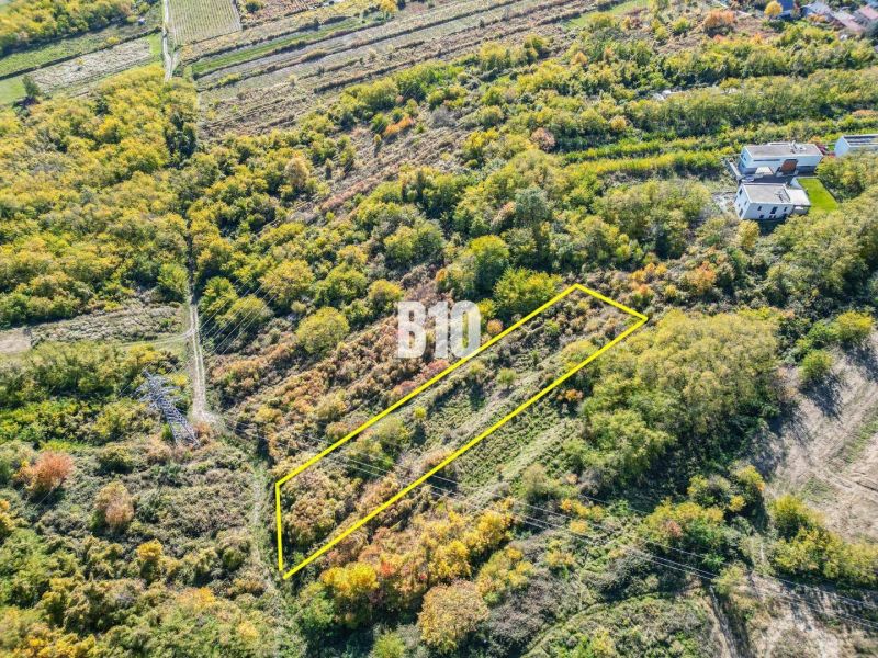 Aerial view of gardens in Bratislava III with extensive green vegetation.