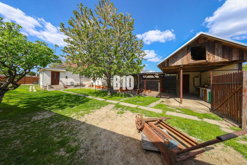 The garden of a family house in Kalinkovo with a lawn, trees, and a utility building.