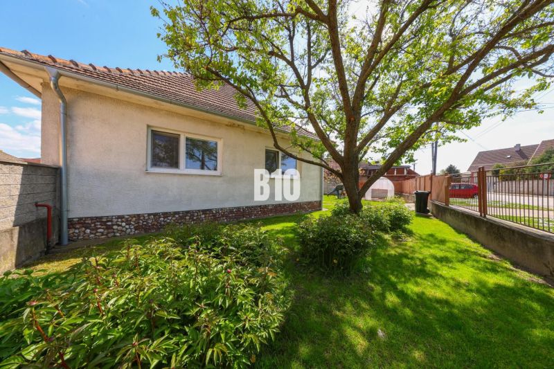 A family house in Kalinkovo with a front garden full of greenery and a tree.