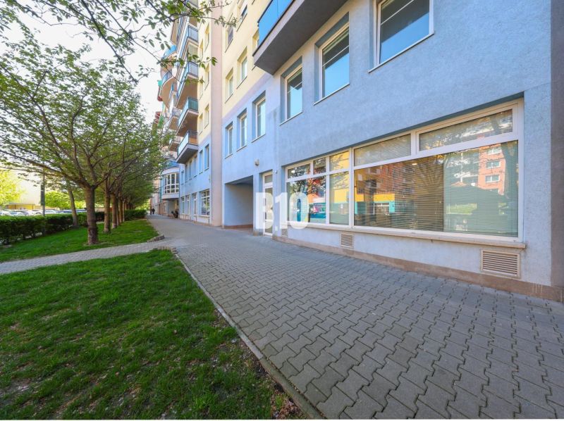 Commercial premises on Šustekova Street in Bratislava V with a sidewalk and trees.