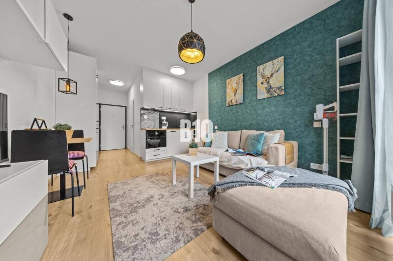 Living room with a kitchenette, sofa, blue wall, and wood-patterned flooring.