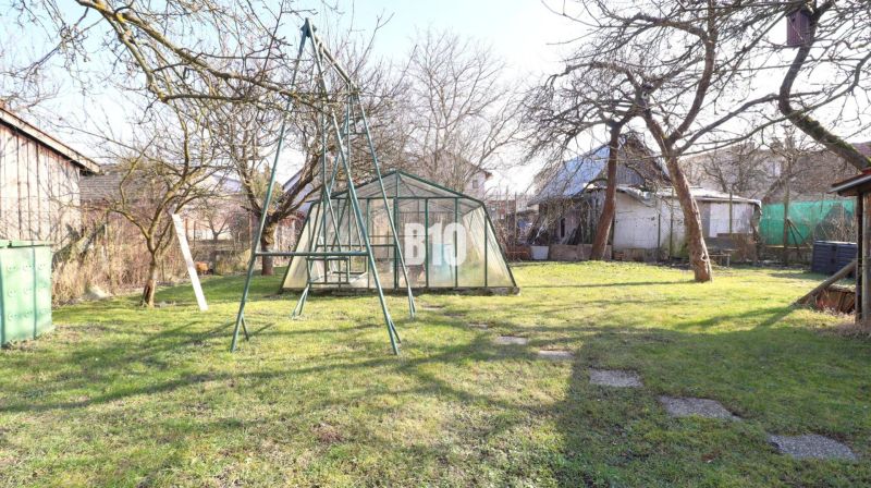 The garden of a family house in Turany with a swing and a greenhouse, surrounded by trees.