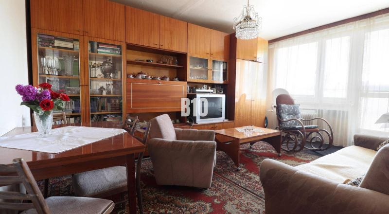 A living room in a 3-room apartment with retro furniture, a carpet, and flowers on the table.
