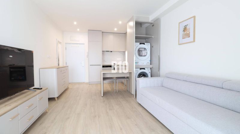 Interior of a 1-room apartment with a kitchen unit, sofa, and washing machine on a floor with a wooden decor.
