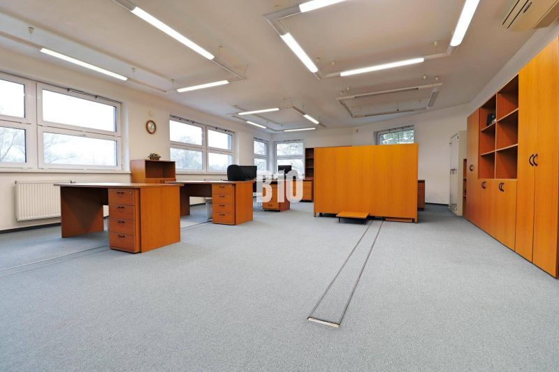 Offices with wooden furniture and carpeted floors, bright lighting, large windows.