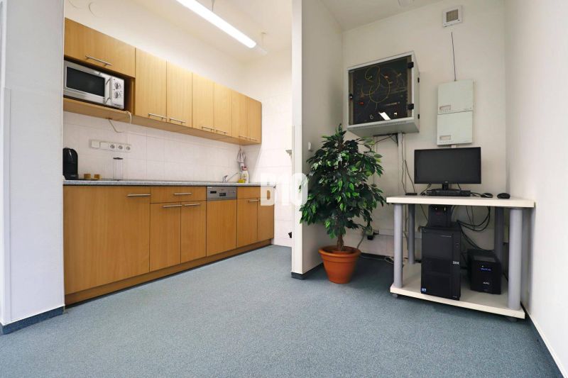 A kitchenette in production areas with wooden decor, a computer, and a potted plant.