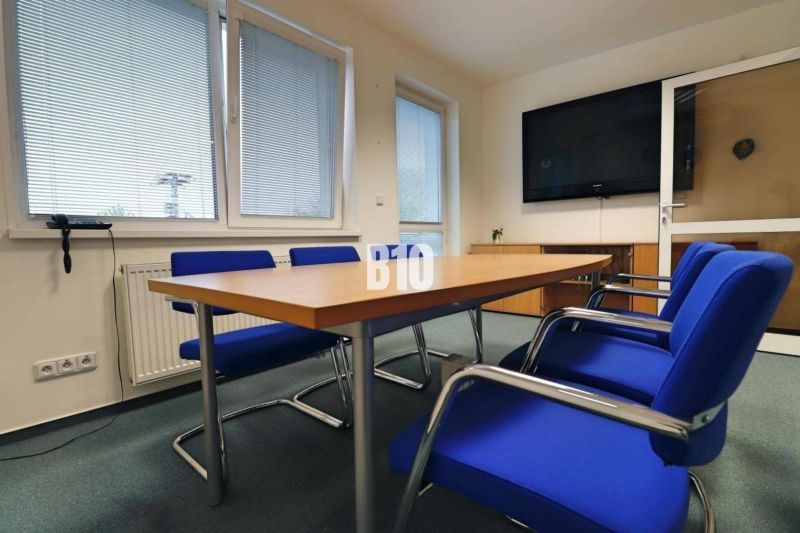 Conference room in offices with blue chairs and a table with a wooden decor.