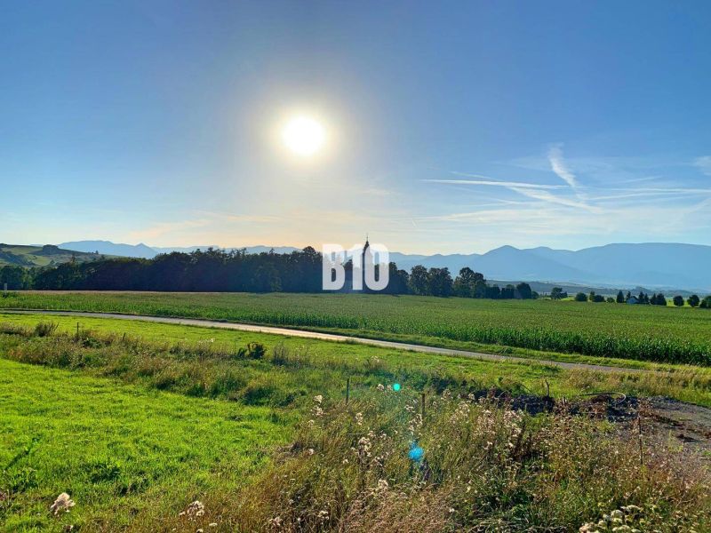 Beautiful nature with meadows at sunset, suitable for plots and living.