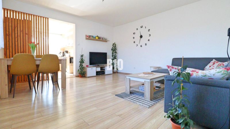 Living room in a family house with wooden decor flooring, dining table, and sofa.